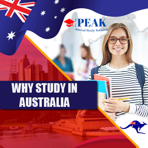 Navigating Job Security Post-Graduation in Australia: Insights and Strategies